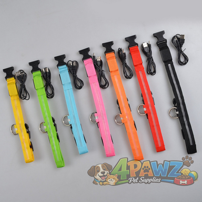 4PAWZ LED Dog Collar - Rechargeable Safety Collar for Night Walks & Travel