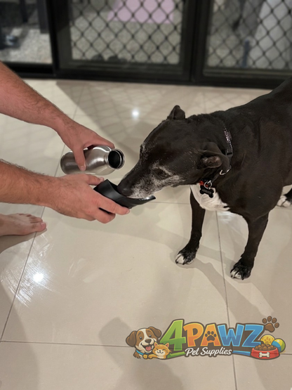 4PAWZ Pet Travel Water Bottle - 750ml Stainless Steel with Drinking Bowl