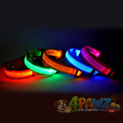 4PAWZ LED Dog Collar - Rechargeable Safety Collar for Night Walks & Travel
