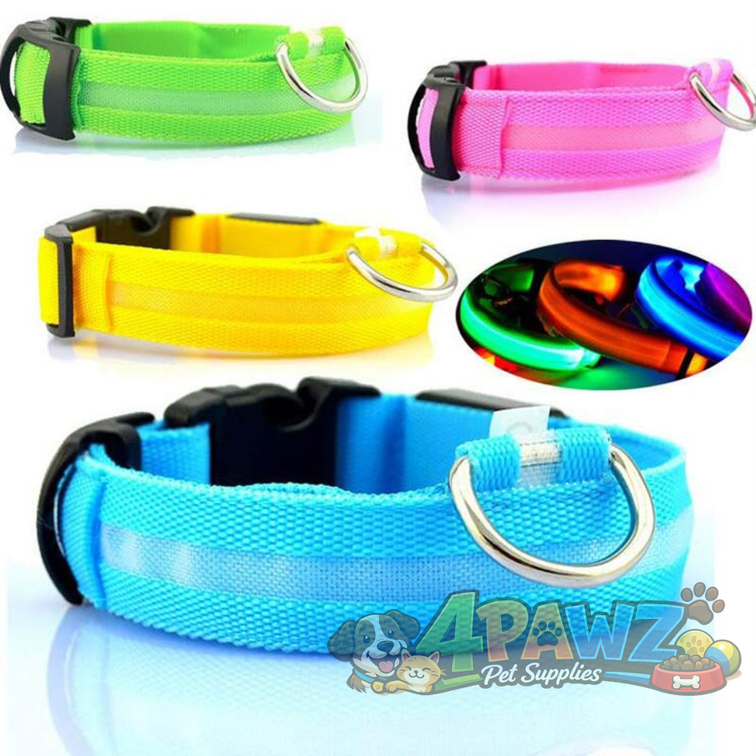 4PAWZ LED Dog Collar - Rechargeable Safety Collar for Night Walks & Travel