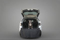 Waterproof Pet Boot Liner - Protects Car Trunk & Cargo Area