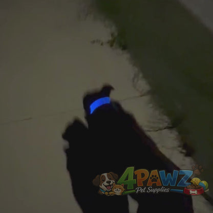 4PAWZ LED Dog Collar - Rechargeable Safety Collar for Night Walks & Travel